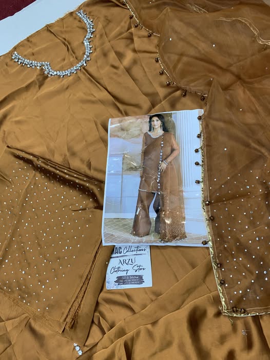 Vanya Embroidered Rust Luxury Silk Dress