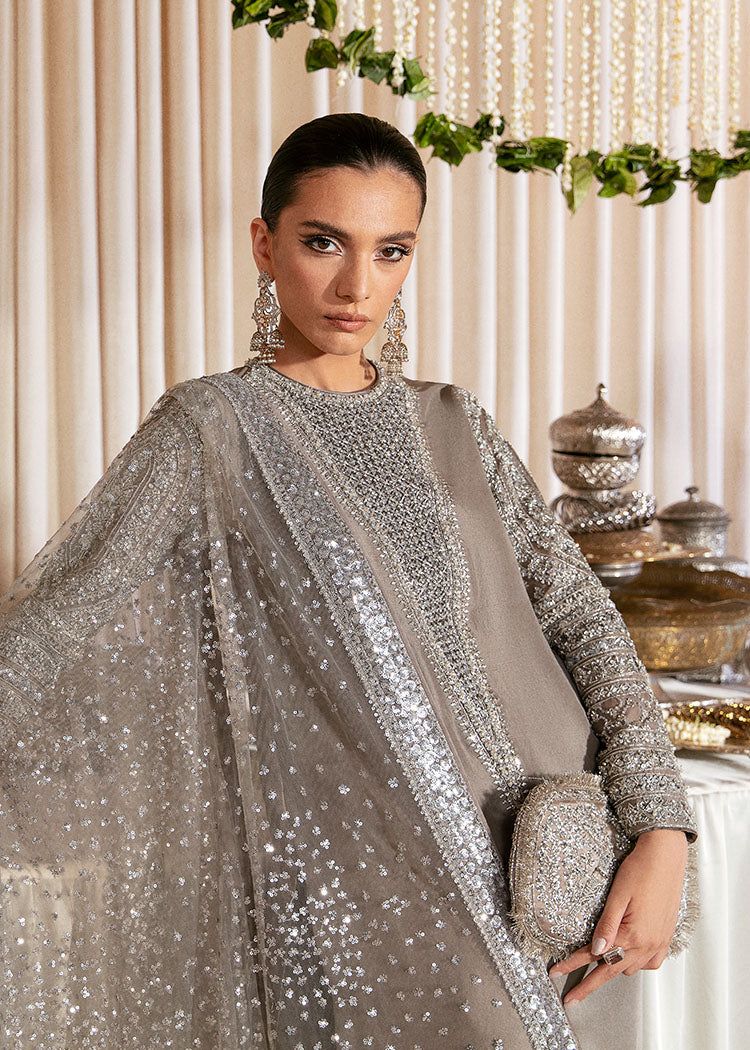 HR Embroidered Grey luxury Raw Silk Dress