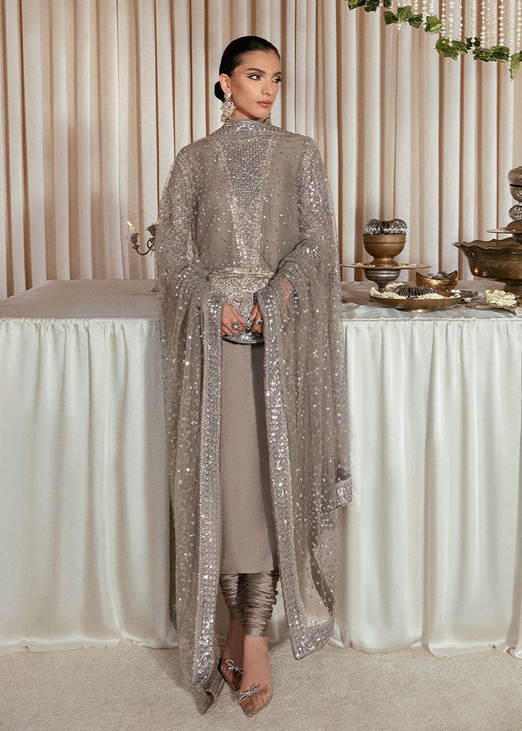 HR Embroidered Grey luxury Raw Silk Dress