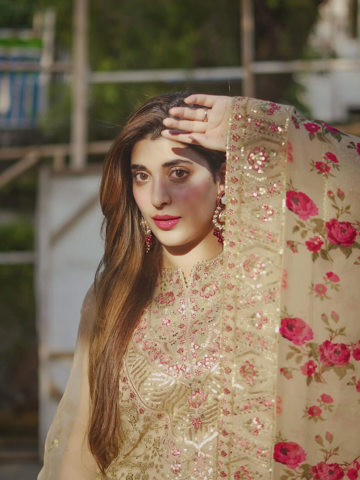 ANL Embroidered Pista Luxury Organza Dress