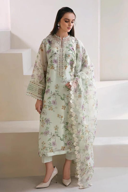 Baroque Pista Luxury Khadi Net Dress