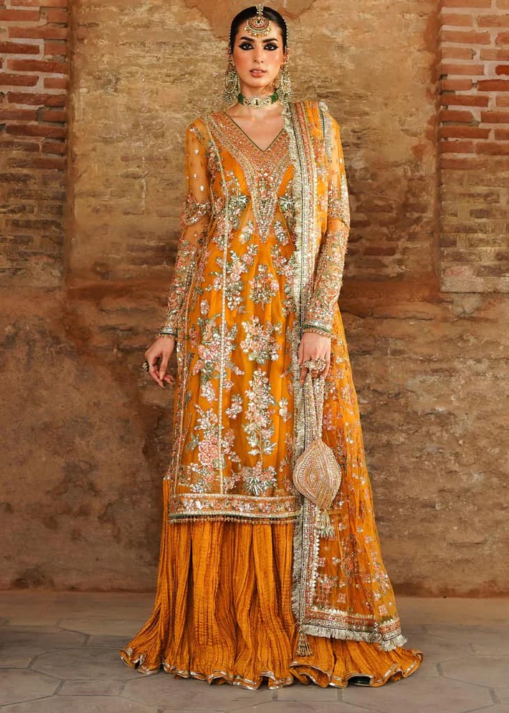 Hussain Rehar Orange Luxury Net Dress