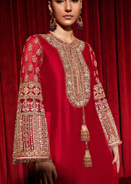 LSR Embroidered Red Luxury Silk Dress