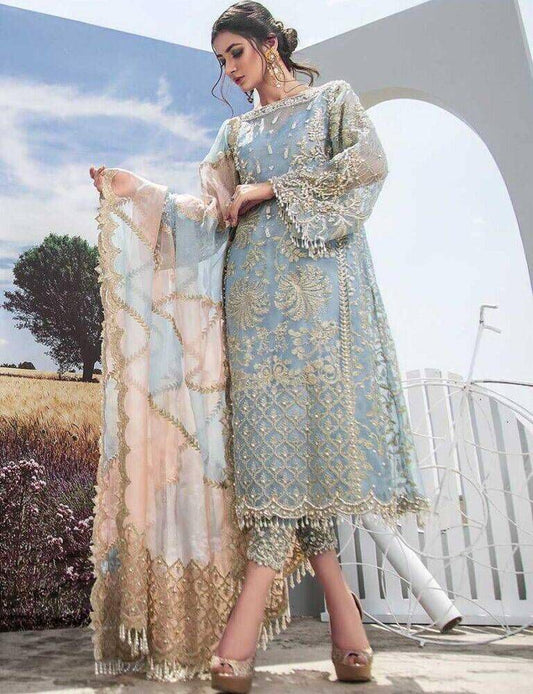 ANR Embroidered Sky Blue Luxury Organza Dress
