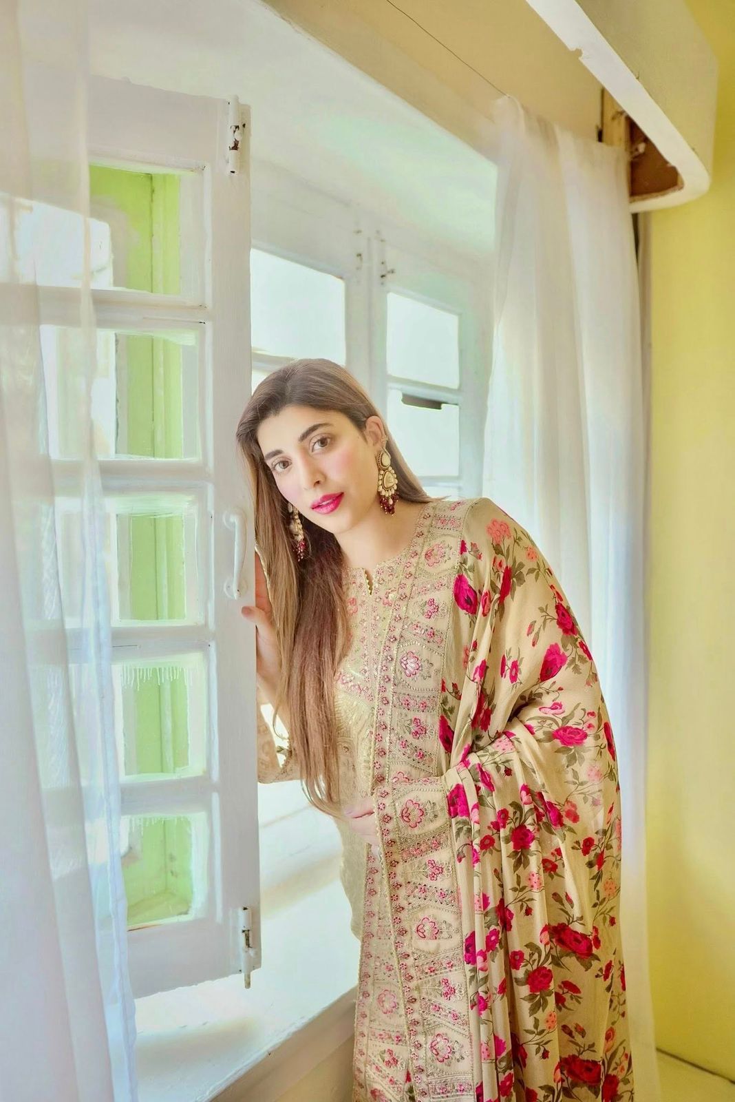 ANL Embroidered Pista Luxury Organza Dress